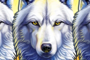 Wolf Thunder